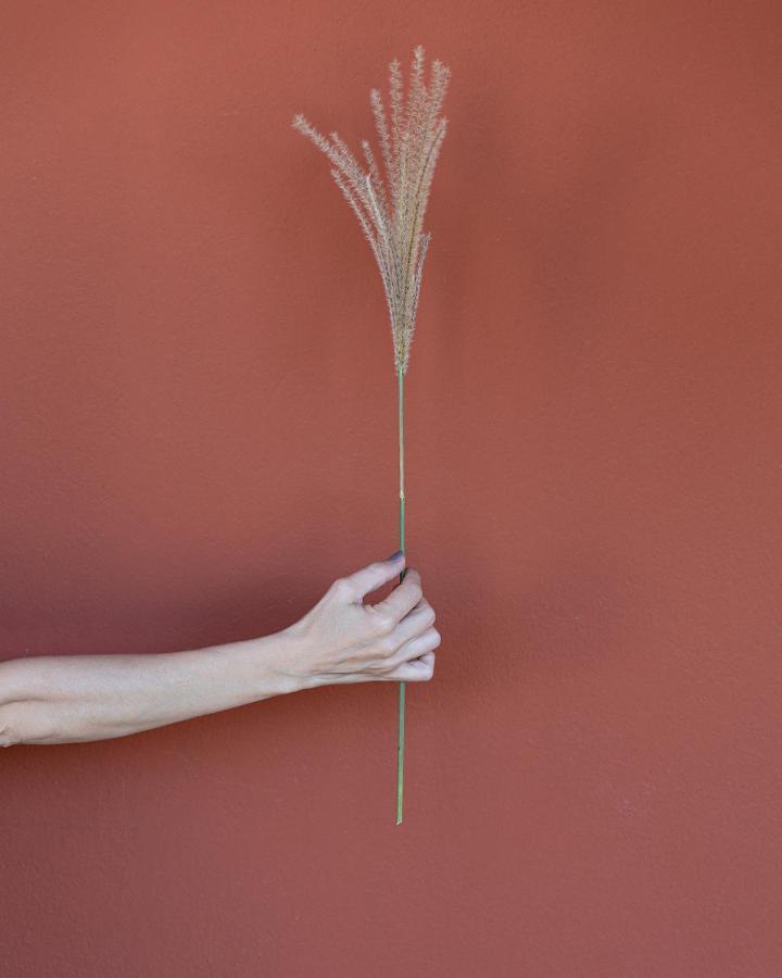 הוילה Santa Lucia Maccarese - Residenza Agricola מראה חיצוני תמונה